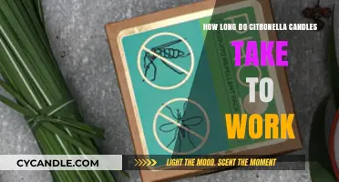 Citronella Candles: Time to Repel Mosquitoes and Effectiveness Explained