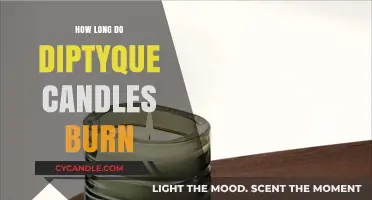Diptyque Candles Burn Time: Maximizing Your Luxury Scent Experience