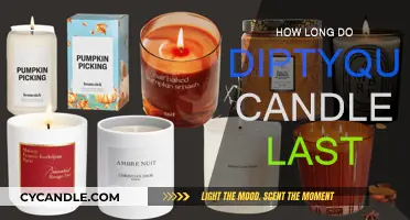 Diptyque Candles: How Long Do They Last?