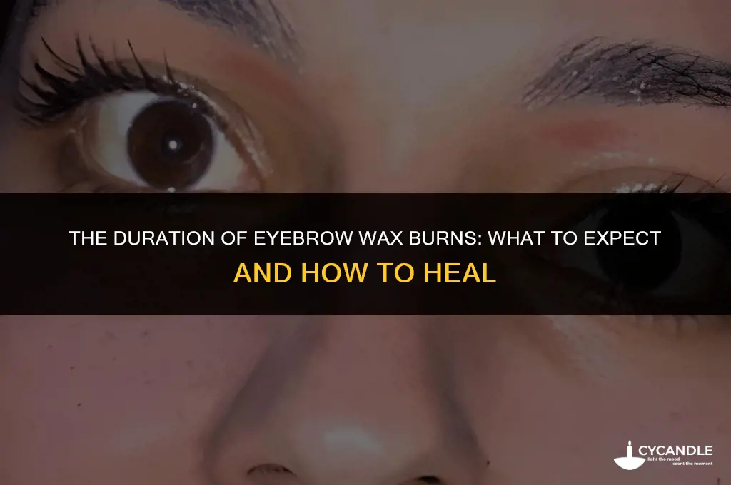 how long do eyebrow wax burns last