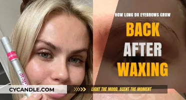 The Eyebrow Regrowth Timeline: What to Expect After Waxing