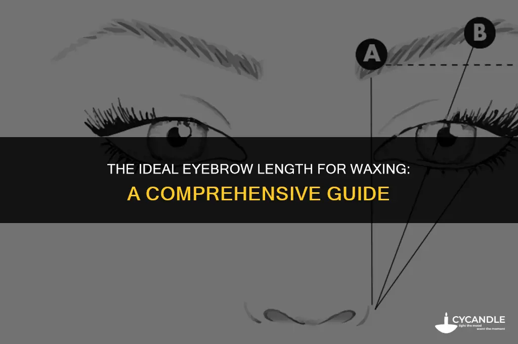 how long do eyebrows have to be for waxing