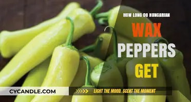 Exploring the Growth Potential of Hungarian Wax Peppers