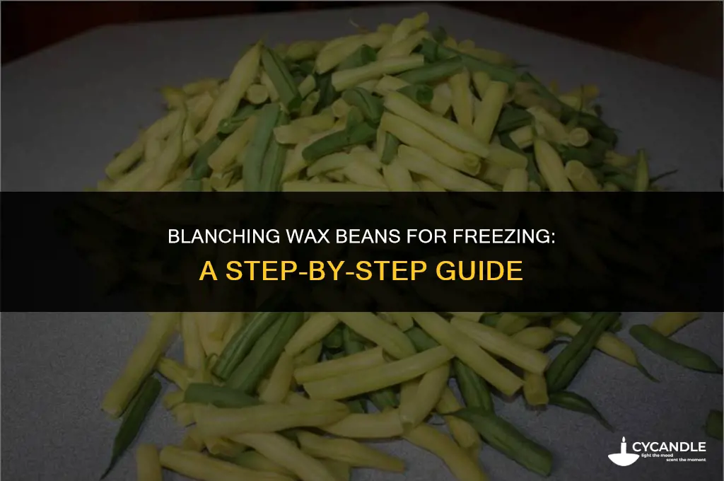 how long do i blanch wax beans for freezing