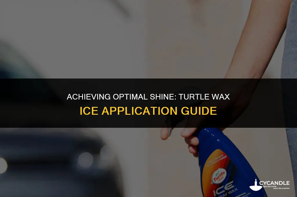 how long do i leave turtle wax ice on