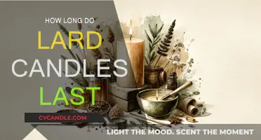 The Longevity of Lard Candles: How Long Do They Last?