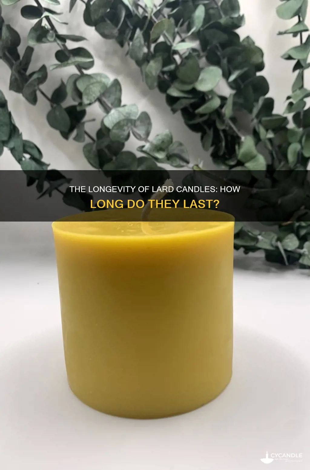 how long do lard candles last