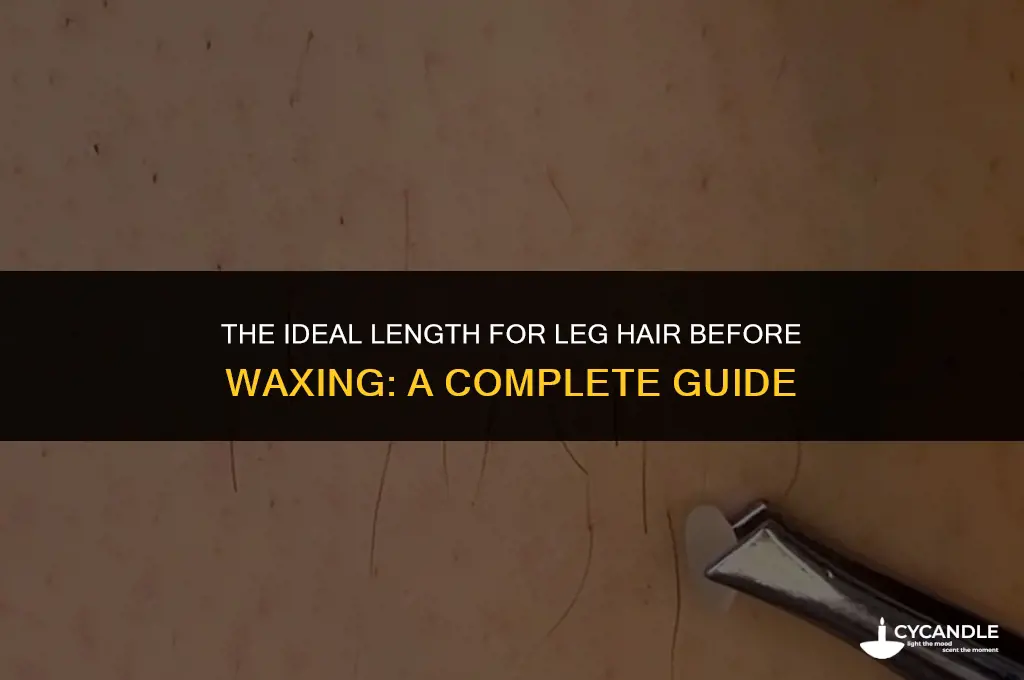how long do leg hairs have to becto wax