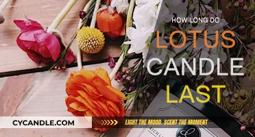 Lotus Candles: How Long Do They Burn?