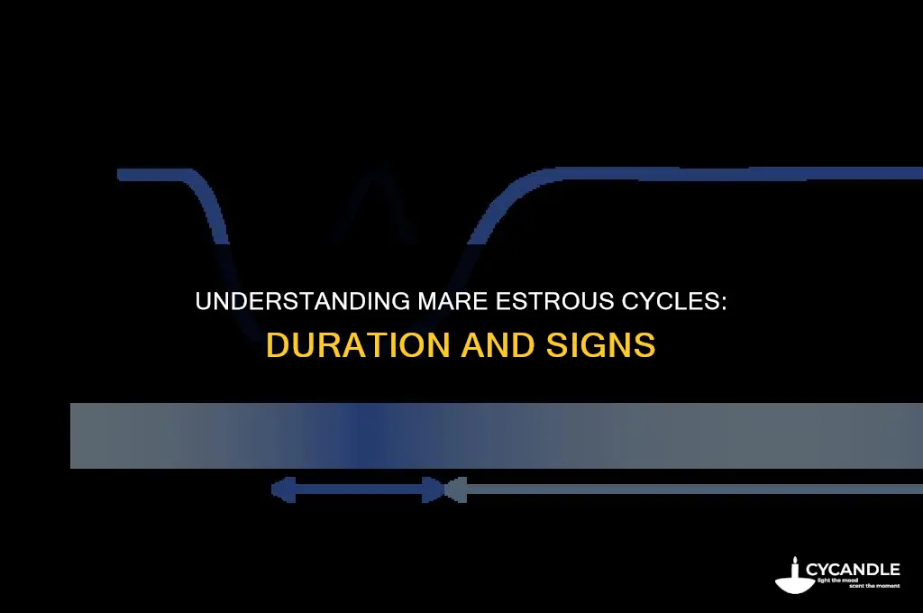 how long do mares wax for