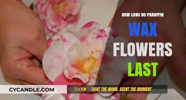 Eternal Blooms: The Lasting Beauty of Paraffin Wax Flowers