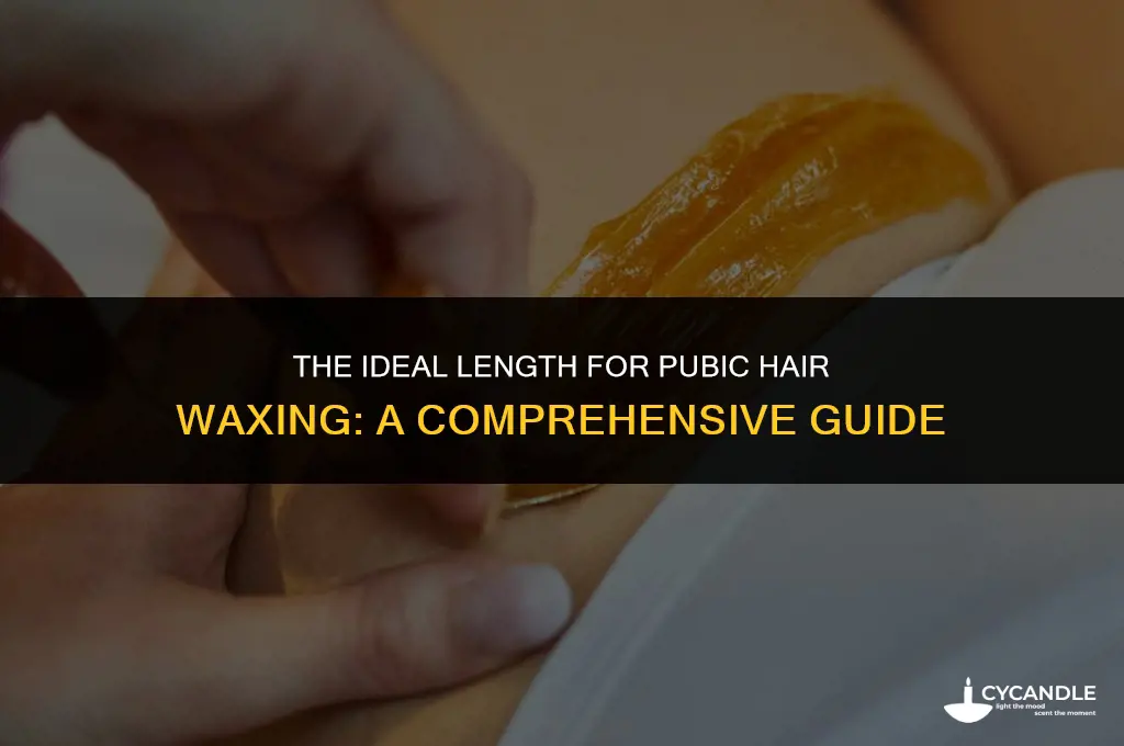how long do pubes have to be to get waxed