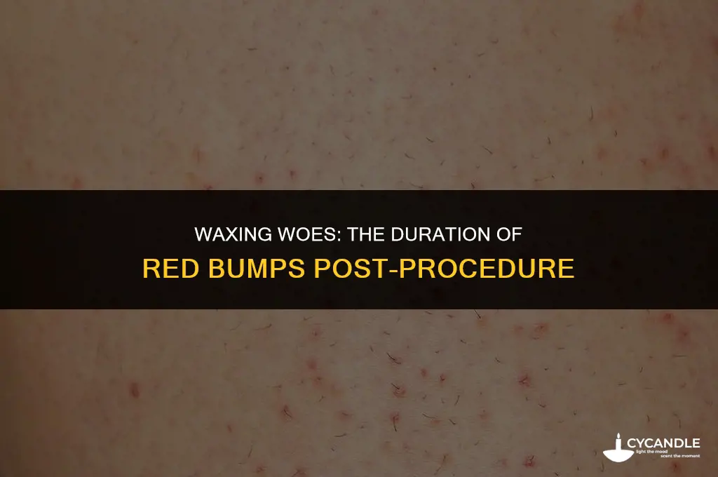 how long do red bumps from waxing last