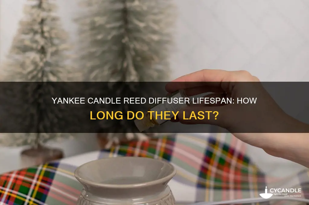 how long do reed diffusers last yankee candle