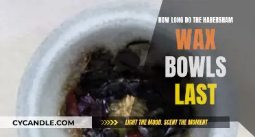 Durability Unveiled: The Longevity of Habersham Wax Bowls Explored