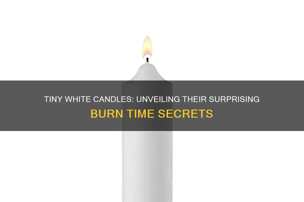 how long do those extremely tiny white candles burn for