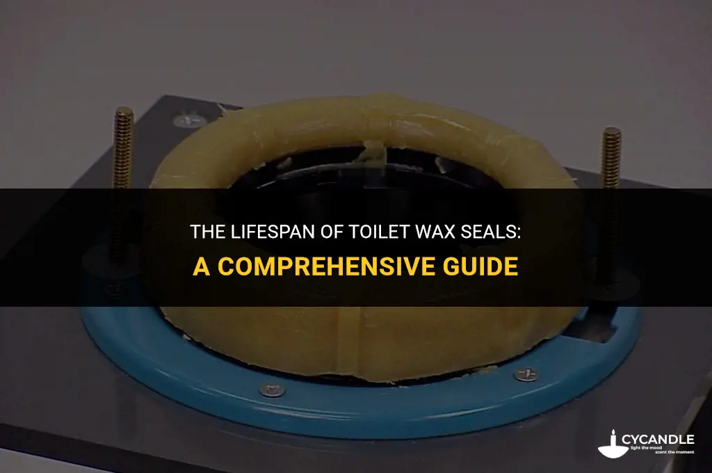 how long do toilet wax seals last