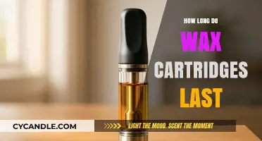 Maximizing Your Wax Cartridge Lifespan: Tips and Tricks