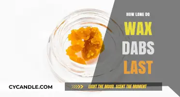 Exploring the Duration of Wax Dabs: A Comprehensive Guide