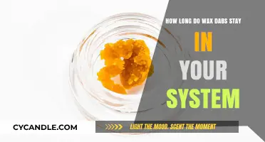 Understanding the Duration of Wax Dabs in Your System