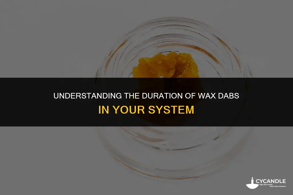 how long do wax dabs stay in your system