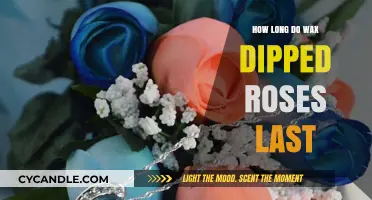 Eternal Beauty: The Lasting Charm of Wax-Dipped Roses