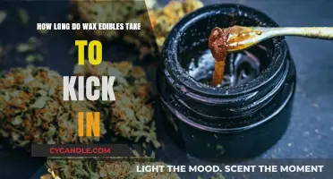 Exploring the Onset Time of Wax Edibles: A Comprehensive Guide