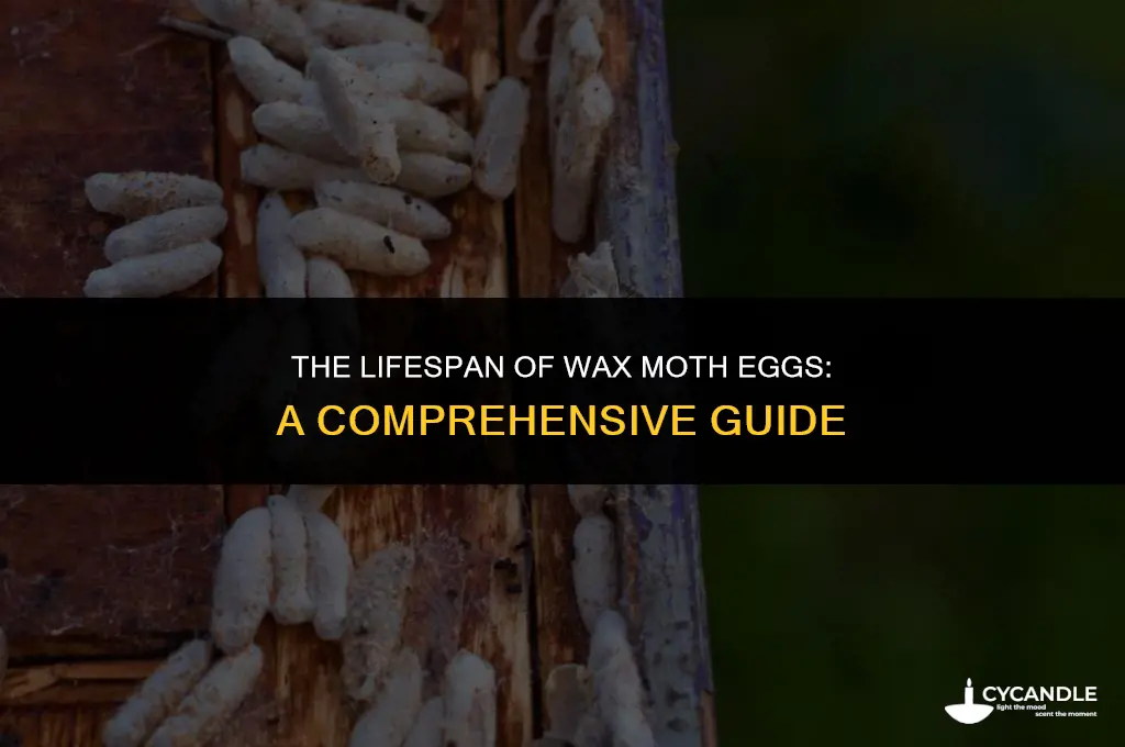 how long do wax moth eggs last