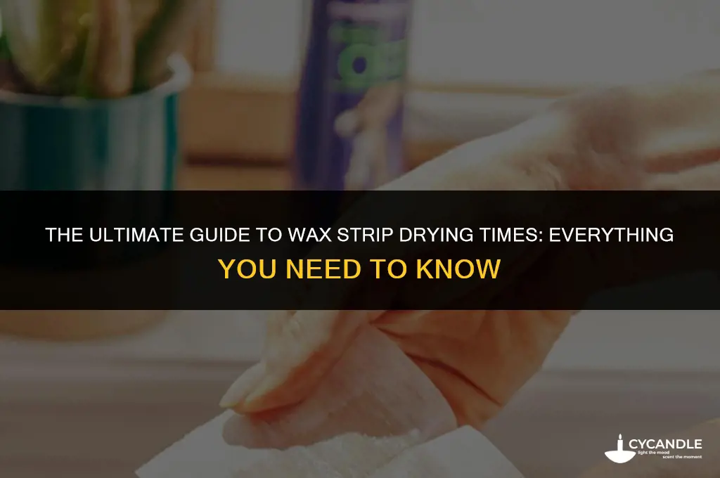 how long do wax strips take to dry