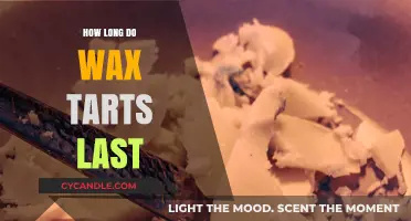 The Lifespan of Wax Tarts: A Comprehensive Guide