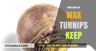 Preserving Perfection: The Shelf Life of Wax Turnips Explained
