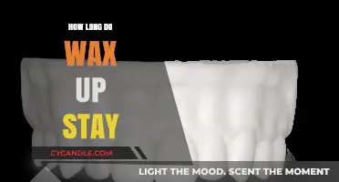 The Duration of Wax Ups: A Comprehensive Guide