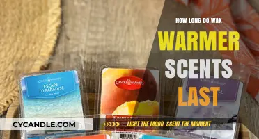 Unveiling the Longevity of Wax Warmer Scents: A Comprehensive Guide