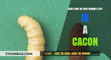 Understanding the Lifespan of Wax Worms in a Cacon Environment