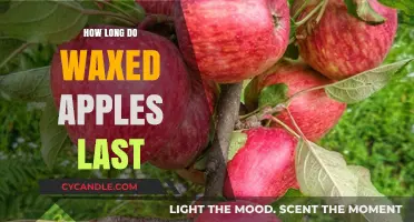 The Shelf Life of Waxed Apples: A Comprehensive Guide