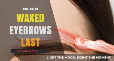 The Ultimate Guide to Long-Lasting Waxed Eyebrows: Maintenance Tips and Tricks
