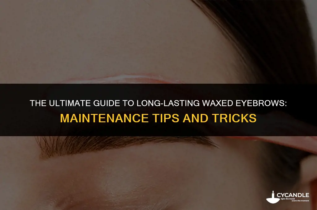 how long do waxed eyebrows last