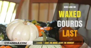 Preserving Perfection: The Lifespan of Waxed Gourds Explained