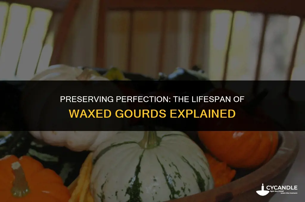 how long do waxed gourds last