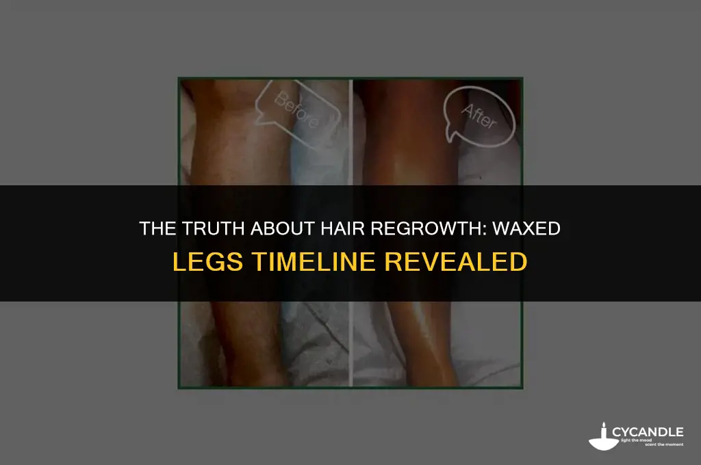 how long do waxed legs take to grow back