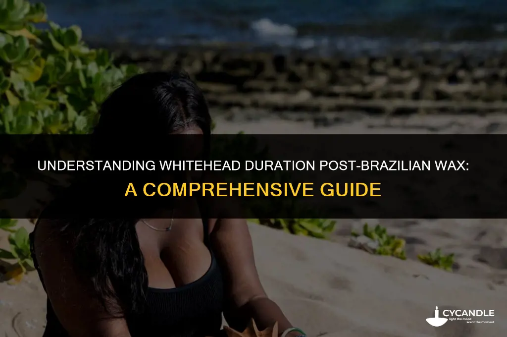 how long do whiteheads last after brazilian wax