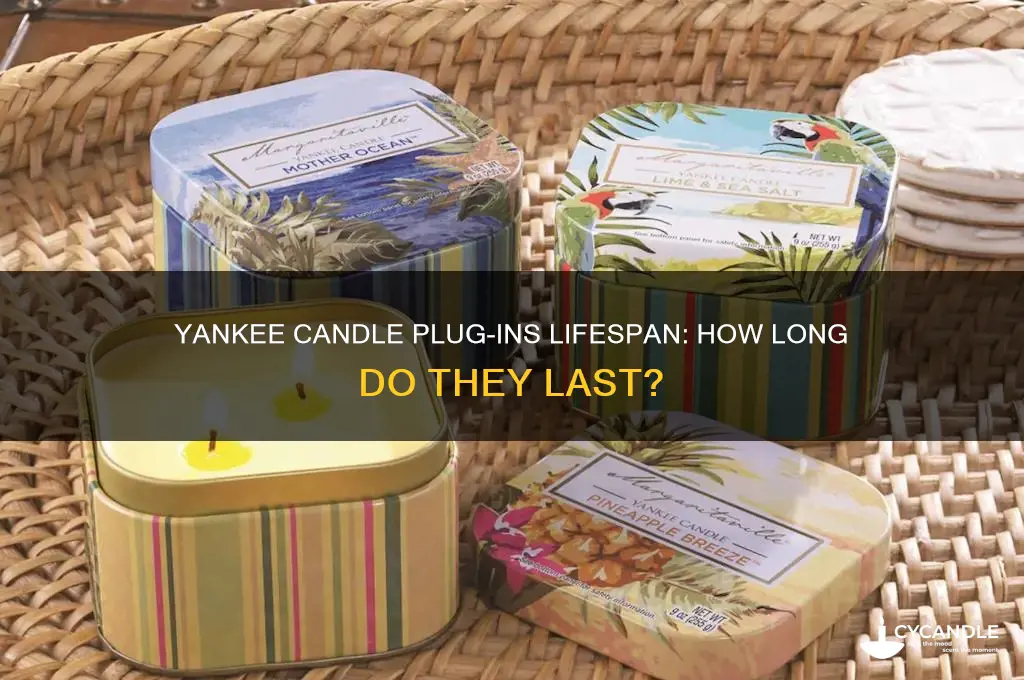 how long do yankee candle plug ins last