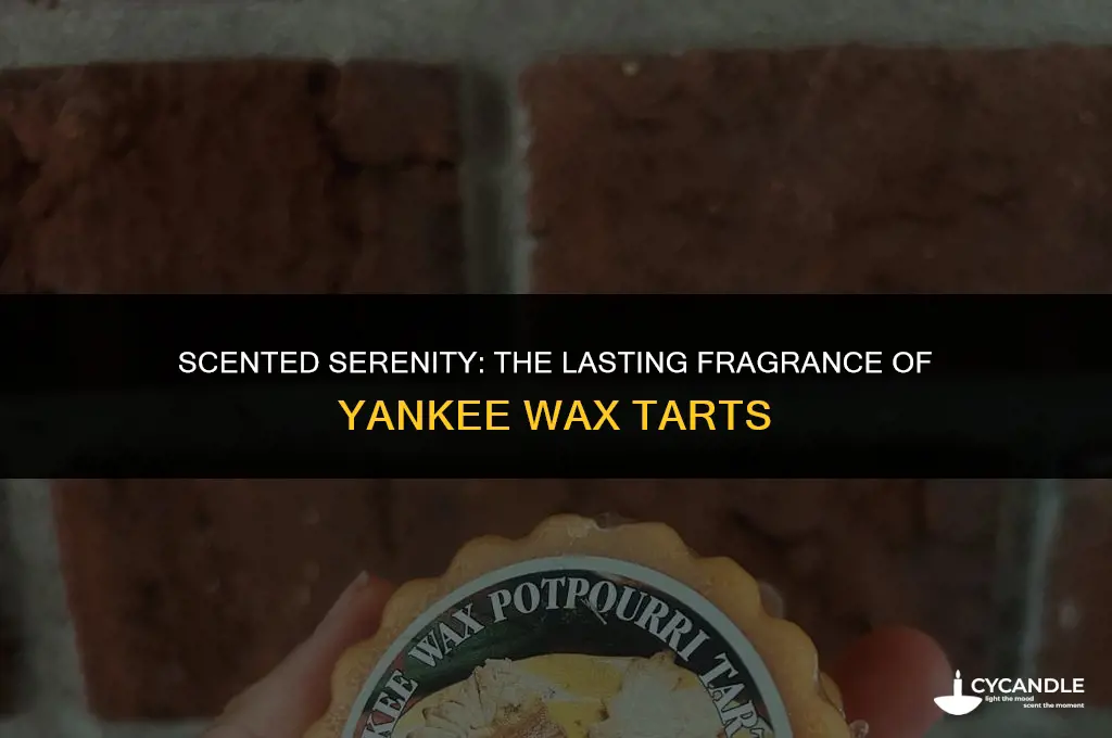 how long do yankee wax tarts stay fragrant