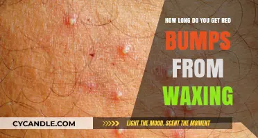 Waxing Woes: Understanding and Soothing Red Bumps Post-Wax