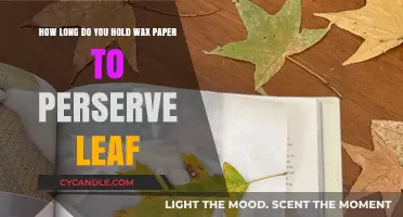 Preserving Nature's Art: The Optimal Wax Paper Leaf Storage Technique