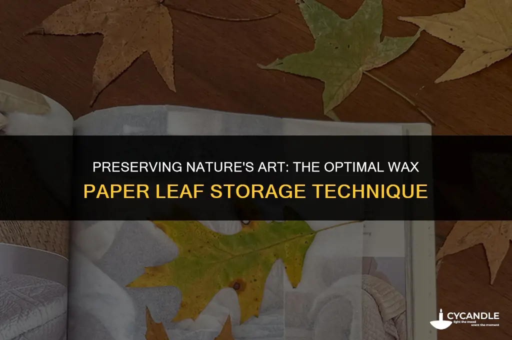 how long do you hold wax paper to perserve leaf