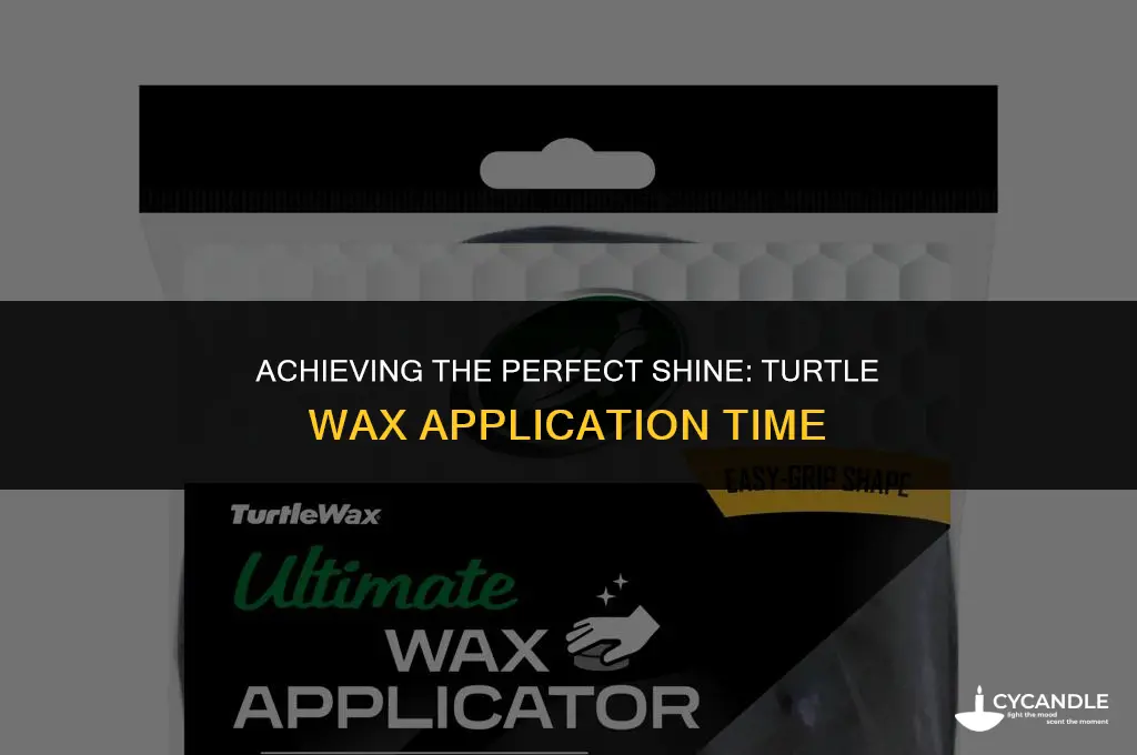how long do you leave turtle wax on your car