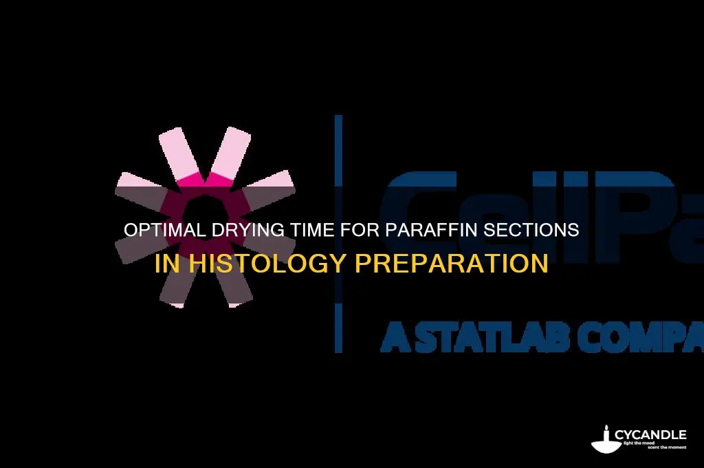 how long do you need to let paraffin sections dry