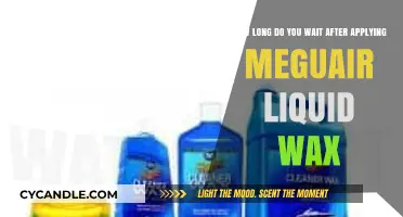 Optimal Waiting Time for Meguiar's Liquid Wax Application