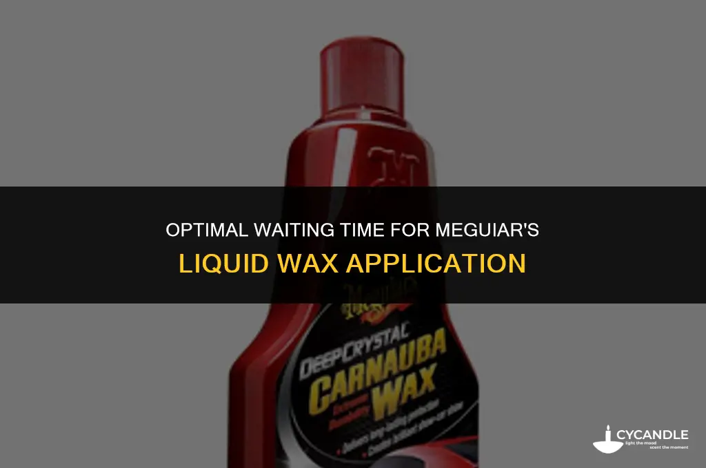 how long do you wait after applying meguair liquid wax